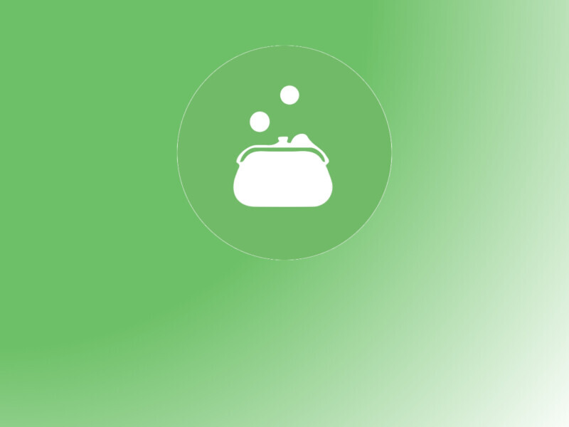 Kascontrole (Financial Audit)