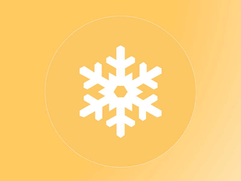 Wintersportcie (Ski Trip Committee)